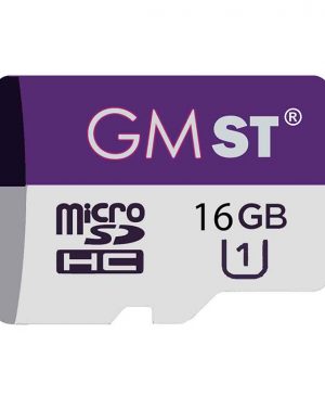 مموری میکرو Gemfast 80m 16G
